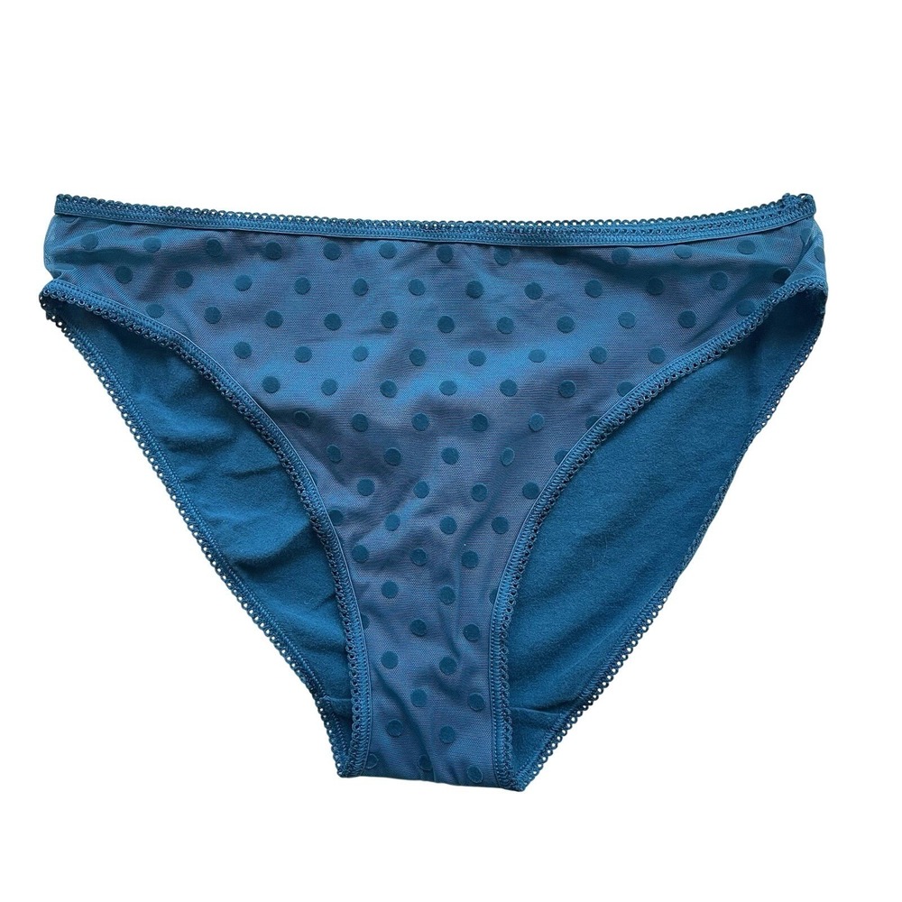 Vtg Victoria's Secret Lace Sheer Dot Mesh Bikini High Leg Panty Small Teal Blue